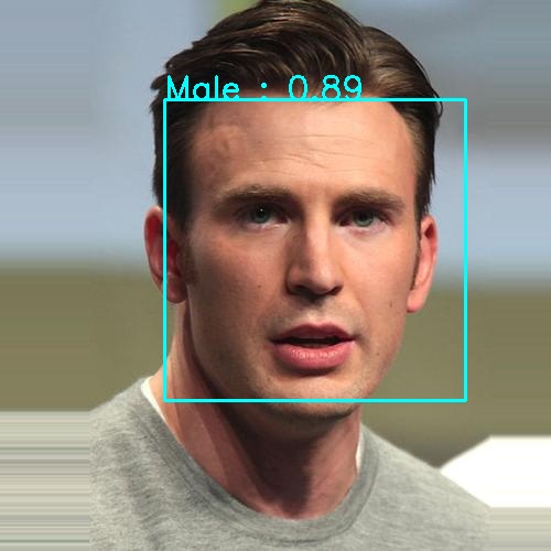 predicted image